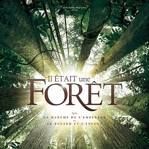 Foto Era uma Vez uma Floresta