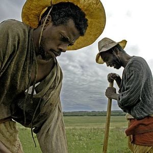 Foto O Tempo e o Vento