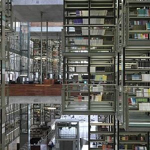 Foto Google e o Cérebro do Mundo