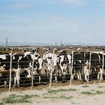 Foto Outono e Inverno