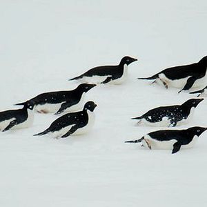 Foto O Último Oceano