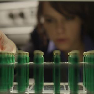 Foto Emily Hampshire