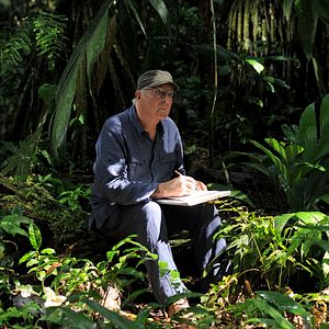 Foto Era uma Vez uma Floresta