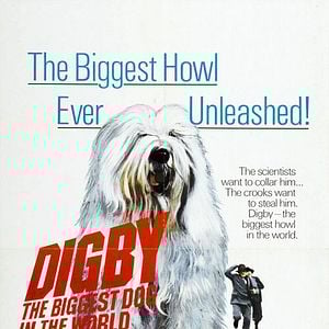 Foto Digby, O Maior Cão do Mundo