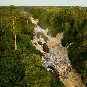 Foto Era uma Vez uma Floresta