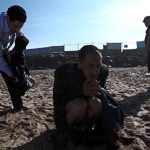 Foto São Eles os Cães