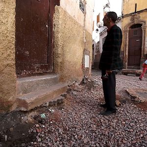 Foto São Eles os Cães