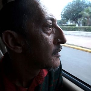 Foto São Eles os Cães