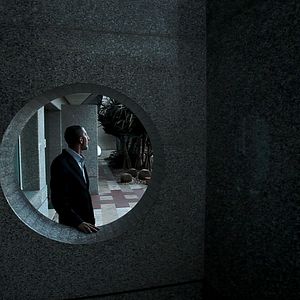 Foto São Eles os Cães