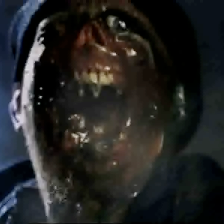 Foto Maldita Aranha Gigante