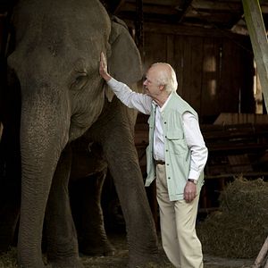Foto O Centenário que Fugiu Pela Janela e Desapareceu