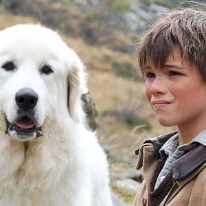 Foto Belle e Sebastian