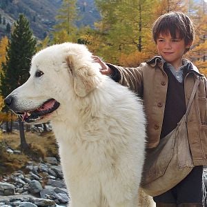 Foto Belle e Sebastian