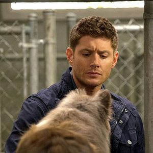 Foto Jensen Ackles