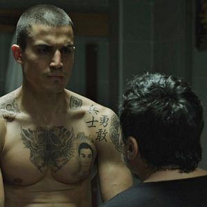 Foto Escorpião Apaixonado