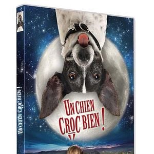 Foto Cachorro Vampiro