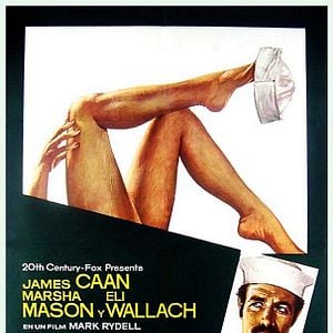 Foto Licença Para Amar até a Meia Noite