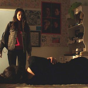 Foto Pássaro Branco na Nevasca