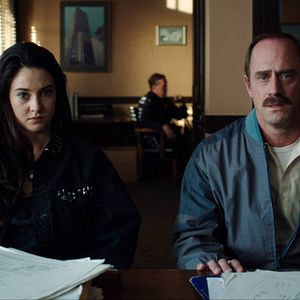 Foto Pássaro Branco na Nevasca