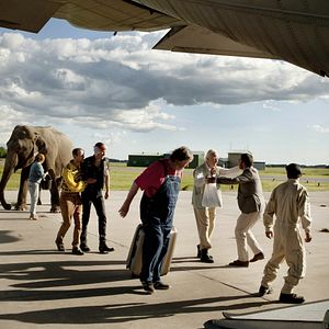 Foto O Centenário que Fugiu Pela Janela e Desapareceu
