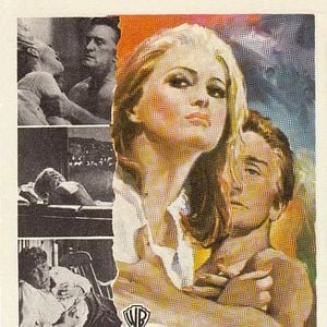 Foto Movidos Pelo Ódio