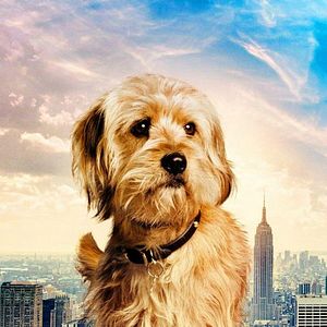 Foto Tudo por um Furo