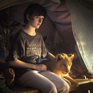 Foto King, Meu Melhor Amigo