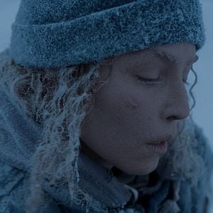 Foto Caranguejo Negro