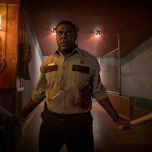 Foto Um Lobo Entre Nós