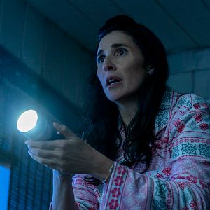 Foto Um Lobo Entre Nós