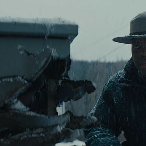 Foto Um Lobo Entre Nós