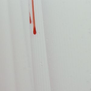 Foto Desejo e Obsessão