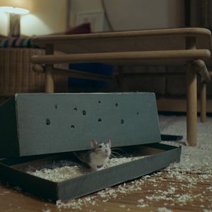 Foto Fatores Humanos