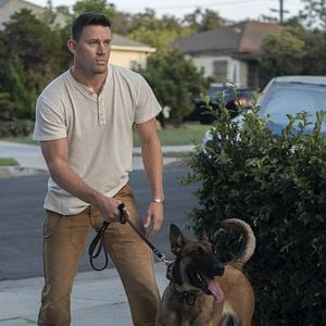 Foto Dog - A Aventura de Uma Vida