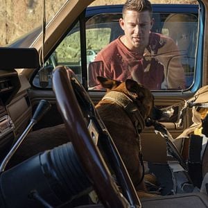 Foto Dog - A Aventura de Uma Vida