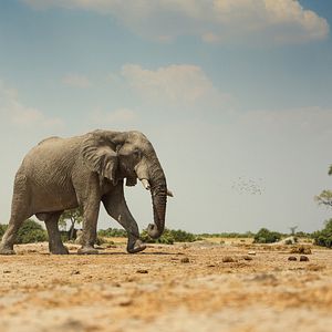 Foto Sobrevivendo ao Paraíso: Contos de Famílias