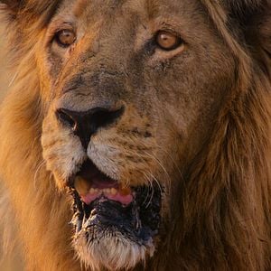 Foto Sobrevivendo ao Paraíso: Contos de Famílias