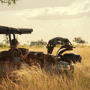 Foto Sobrevivendo ao Paraíso: Contos de Famílias