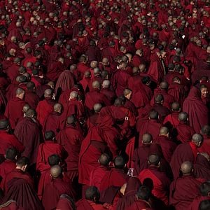 Foto Floresta Vermelho Escuro: Monjas Budistas no Tibet