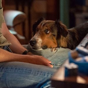 Foto O Resgate de Ruby