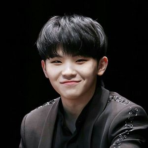 Foto WOOZI