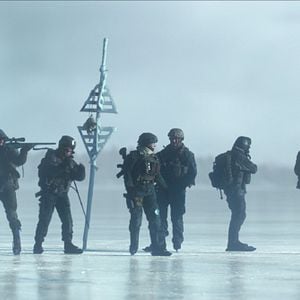 Foto Caranguejo Negro