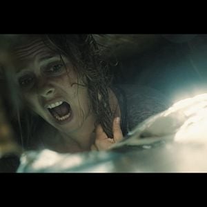 Foto The Requin - À Deriva