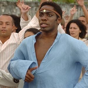 Foto Cobras e Lagartos