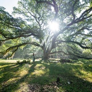 Foto Um Lugar Bem Longe Daqui