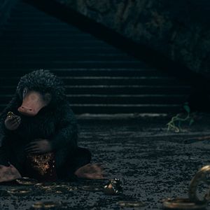 Foto Animais Fantásticos: Os Segredos de Dumbledore