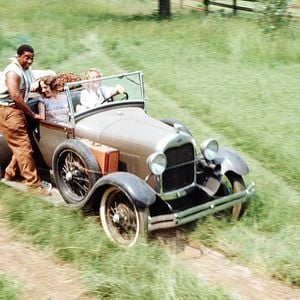 Foto Tomates Verdes Fritos