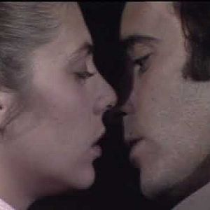 Foto Livre Para Voar