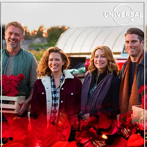 Foto Flores de Natal