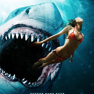 Foto Tubarão - Mar de Sangue